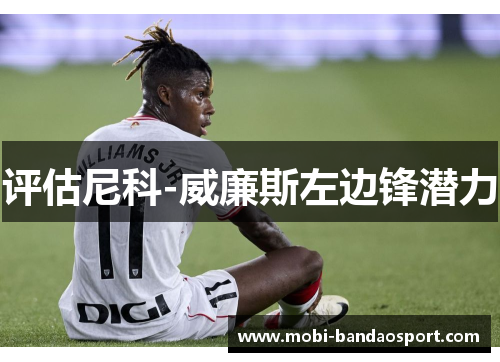 评估尼科-威廉斯左边锋潜力