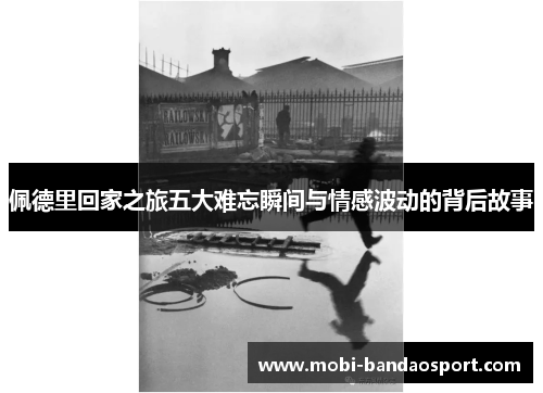 佩德里回家之旅五大难忘瞬间与情感波动的背后故事